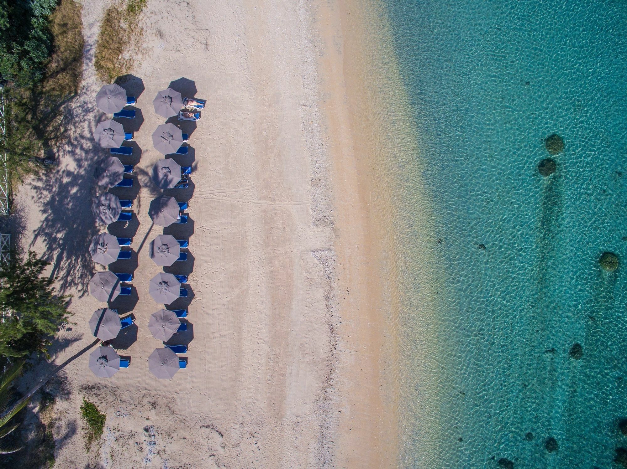 Le Nautile Beachfront Saint-Gilles Les Bains Exterior photo